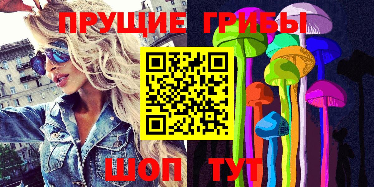 Галлюциногенные грибы Psilocybe Волжск