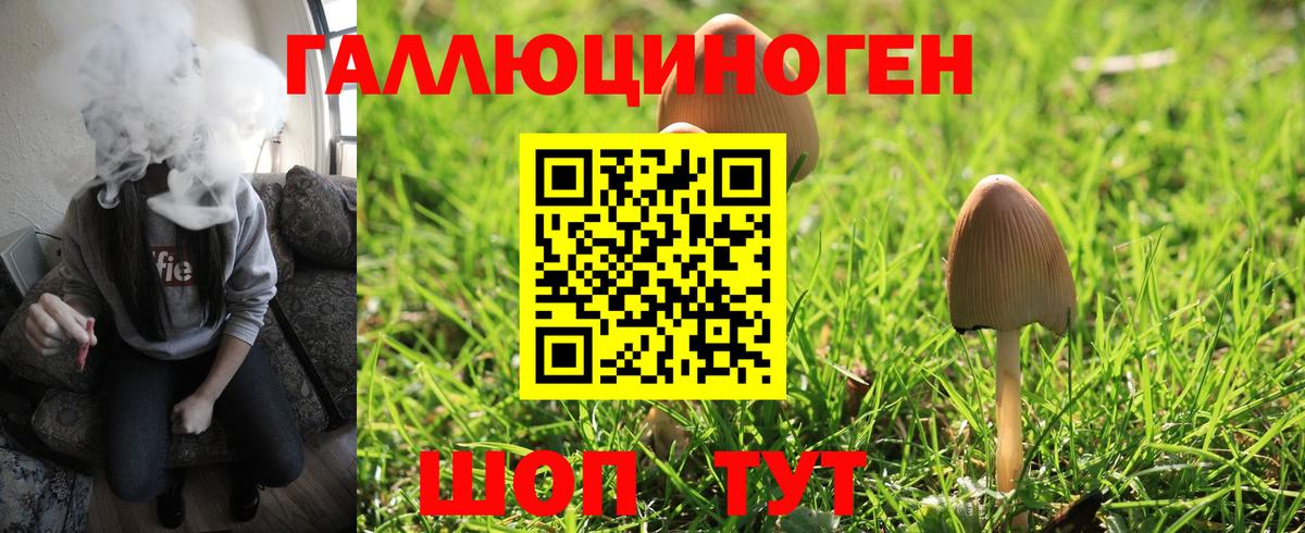 цены   Галлюциногенные грибы MAGIC MUSHROOMS  Вход с VPN  Волжск 
